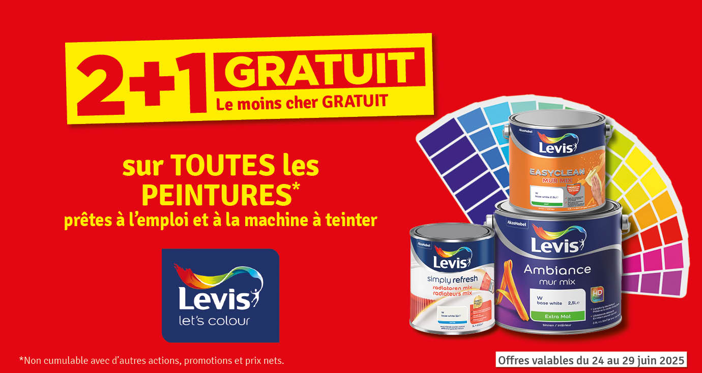 2 + 1 gratuit sur toutes les peintures LEVIS